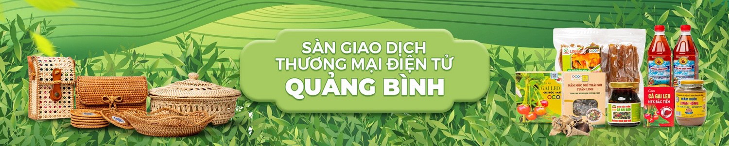 Sàn TMĐT Quảng Bình